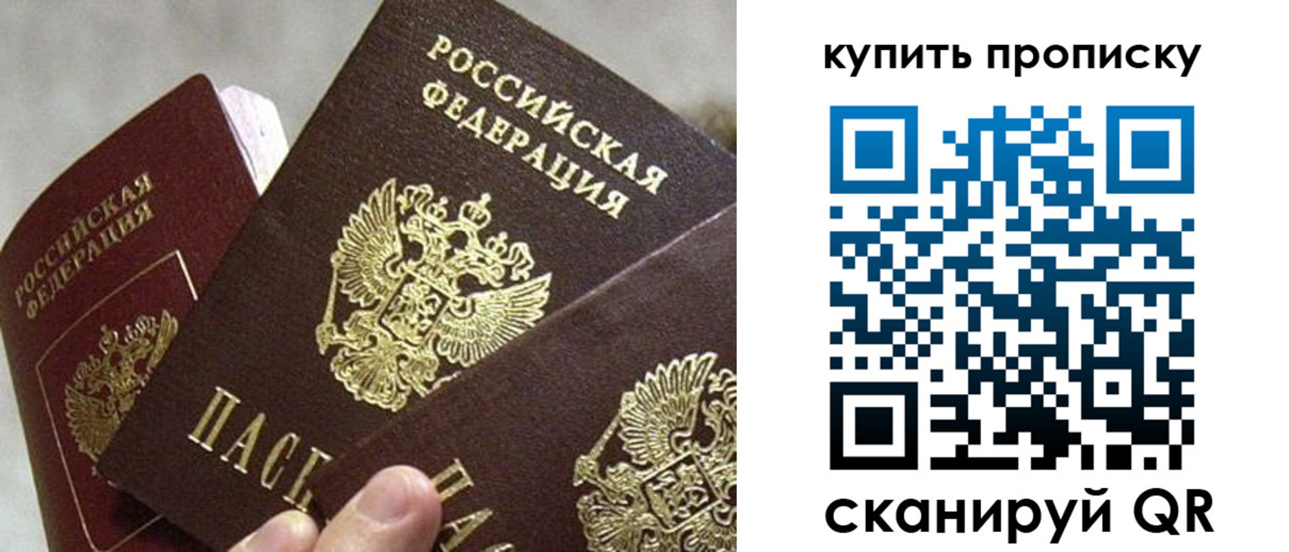 прописка для школы в Волгоградской области
